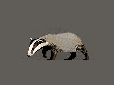 Wildlife Poster - Badger