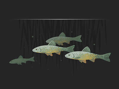 Wildlife Poster - Dace shoal