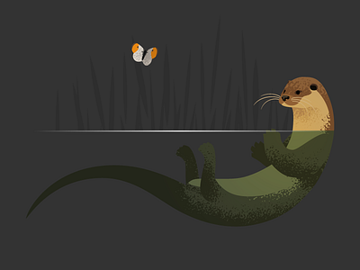 Wildlife Poster - Otter and Orangetip
