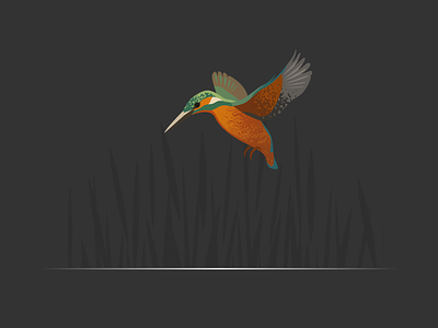 Wildlife Poster - Kingfisher animal bird kingfisher vector wildlife