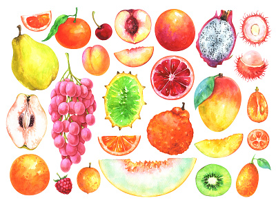 Watercolor fruits set citrus collection exotic food fruit hand drawn illustration plant set watercolor