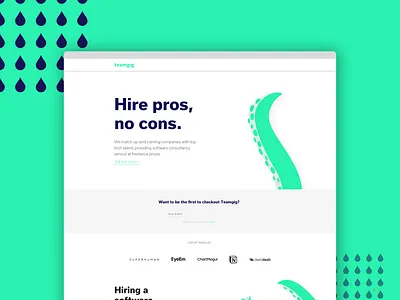 teamgig landing page - software consultancy brand design illustraion web