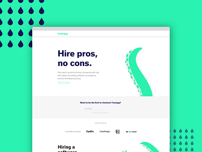 teamgig landing page - software consultancy brand design illustraion web