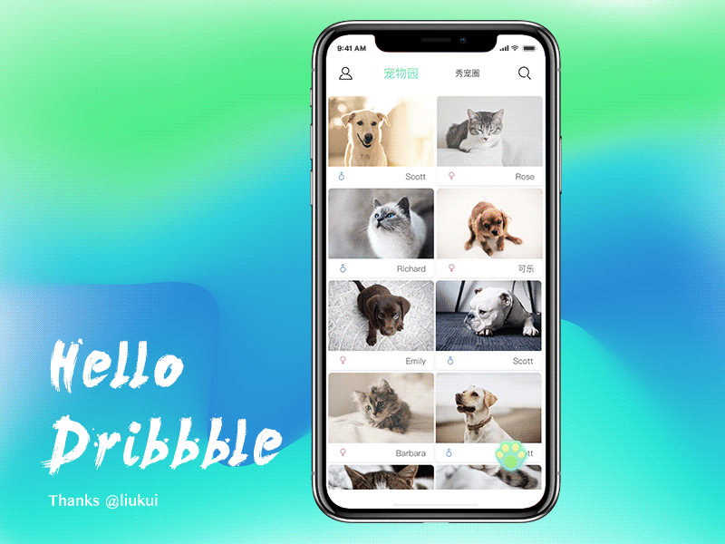 Hello！dribbble！IPET APP Design