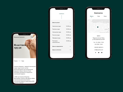 Plastic surgeon — main adaptive design plastic surgery ui web