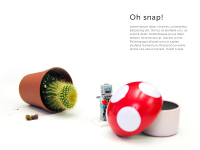 404 page 404 cute error photo robot