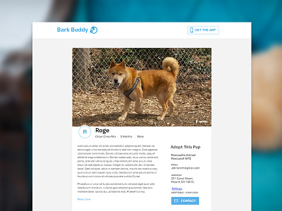 profile app dog product website