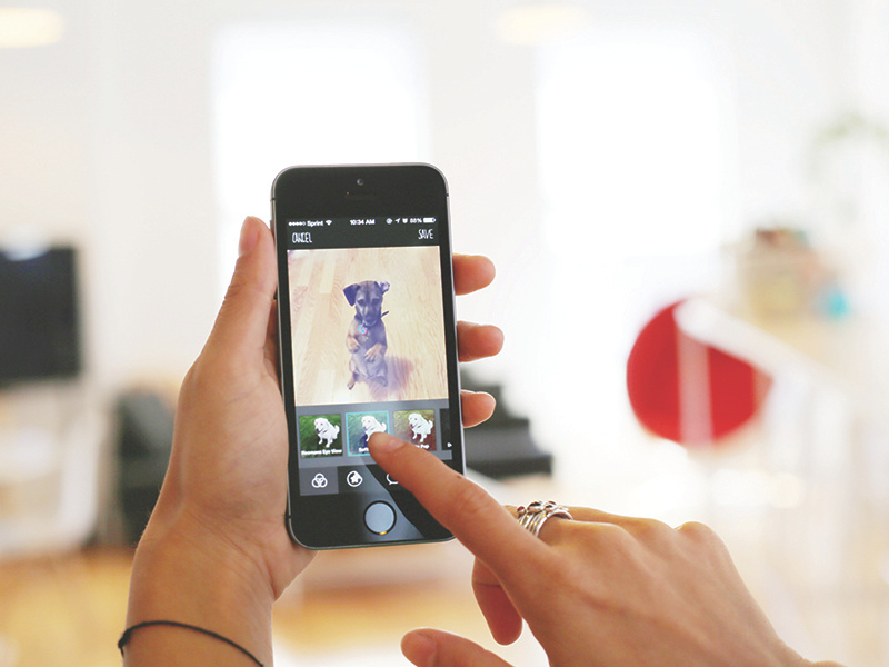 BarkCam app dog photo camera sticker fun