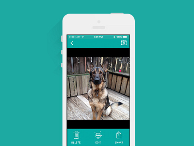 Camera app for dog