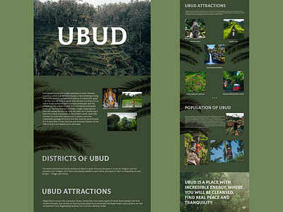 Longrid about Ubud graphic design longread site ui ux web design web site
