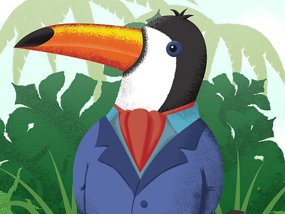 Toucan Illustration illustration vector