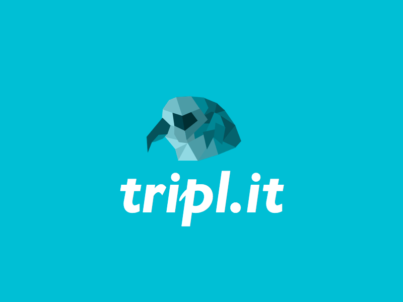Logo for tripl.it falcon low poly poly sketch app icon logo