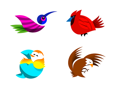 Birds illustration spots