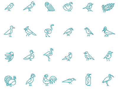 birdicons 1 color icon icon design vector