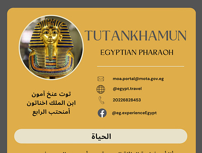 TUTANKHAMUN CV egyptian faraoh golden mask tutankhamun cv