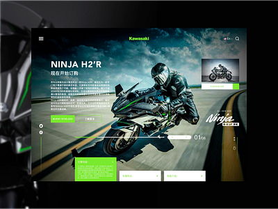 Ninja H2r design