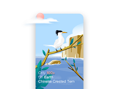 Chinese Crested Tern app loading ui