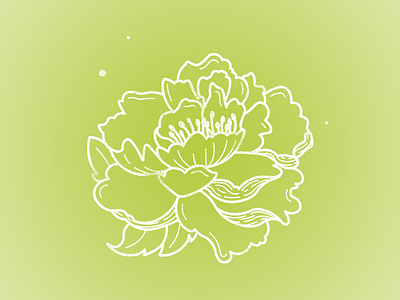 Peony design dot floral flower graphic illustrator leaf line art peony petal vector