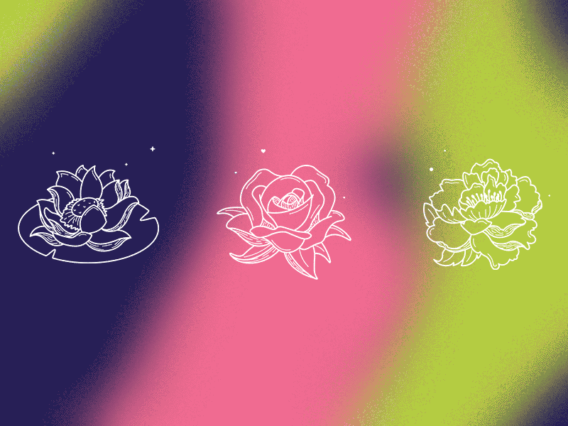 Flowers design floral flowers gif graphic illustration illustrator line art motion tattoo texture vector