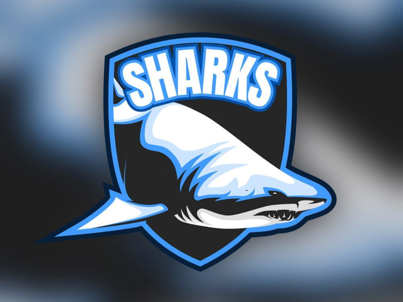 Sharks 🦈 • by Exhibit 23 on Dribbble