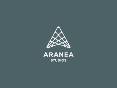 Aranea Studios coders connect design developers letter a net network spider web web design studio www ©
