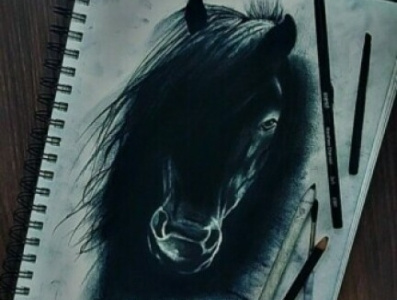 the black horse dr illustration