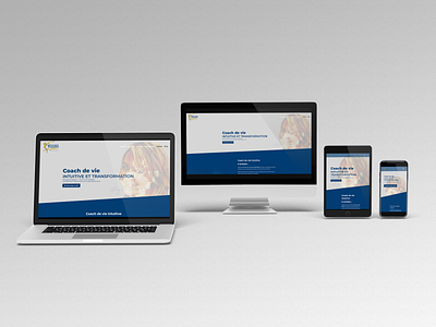 mockup responsive website phoenix awake design visual identity webdesign