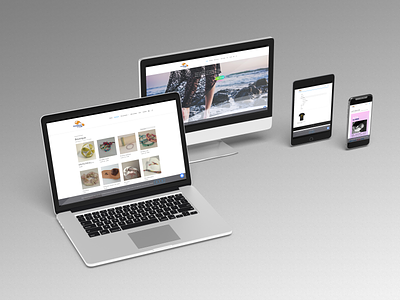 smallstepforlife web site layout design marketing webdesign