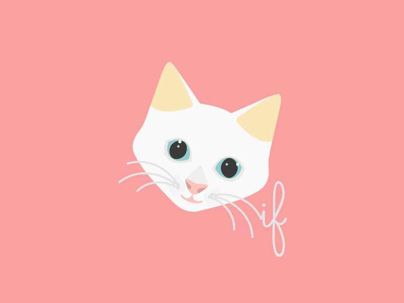 if: my cat cat illustration