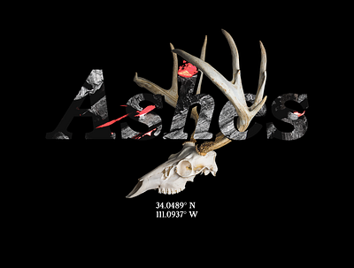 Ashes antlers arizona ashes collage death desert mixed media streetwear technical