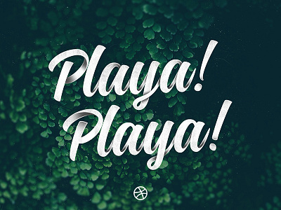 Playa! Playa! - Debut design lettering type typography