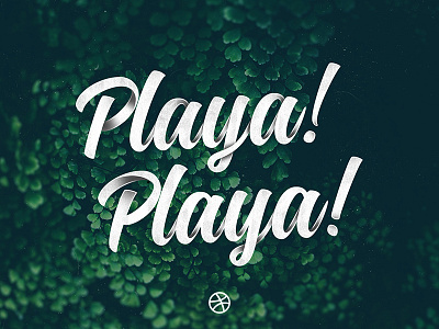 Playa! Playa! - The Rebound