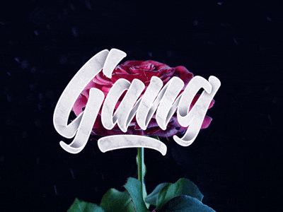 Gang art brush design flowers gif handlettering lettering rose type typography