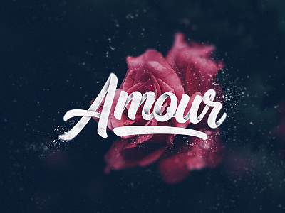 Amour art brush design flowers handlettering lettering love rose type typography