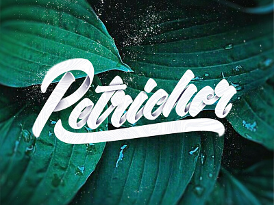 Petrichor art brush brushlettering dark design lettering rain type typography