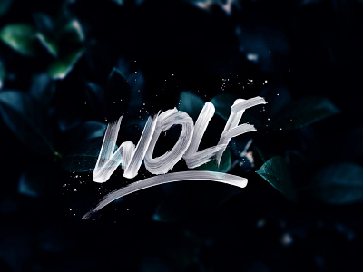 Wolf 3dtype art brush design handlettering lettering type typography