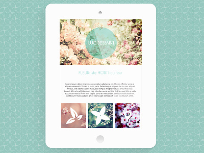 Proposal for a brand new, minimalist and easy-to-use website brand colors easy flower minimalist simple small