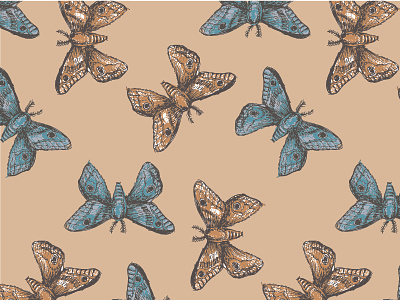Butterfly Pattern bug bugs butterfly hand drawn illustration moth pattern