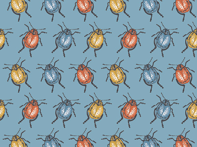 Beetle Pattern