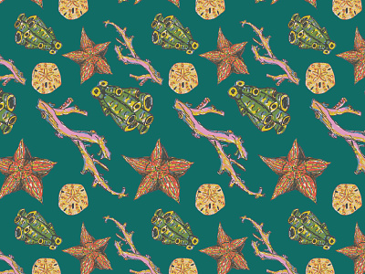 Sea Creature Patterns coral fish repeat pattern sand dollar sea life starfish surface design