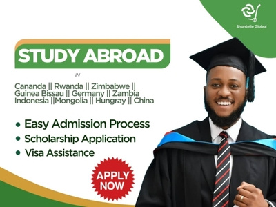 Study Abroad Flyer Design by Edidiong Umoh on Dribbble