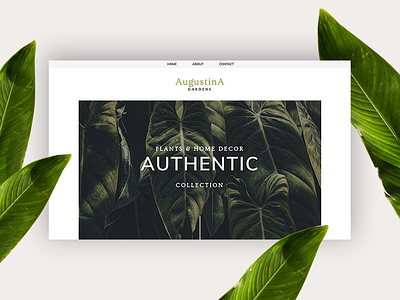 Augustina PageCloud Template app blog blog layout content design gallery modern pagecloud template type typography web web design website builder