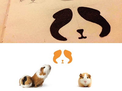 hamster logo 2d 2d art 2d character brand branding design illustration indentity logo trend trend 2019 trending