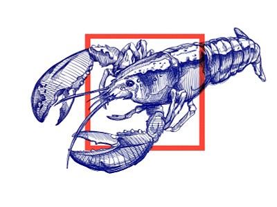 Lobster Drawing (study) 2d 2d art animal art brand branding branding design drawing illustration lobster sketching study trend trend 2019 trending