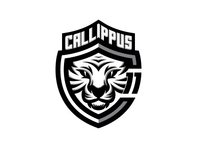 Callippus