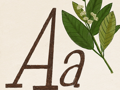 Herbal alphabet branding design floral logo typography