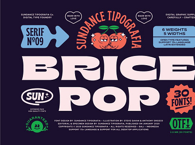 65% OFF Brice Font Family lettering retro fonts