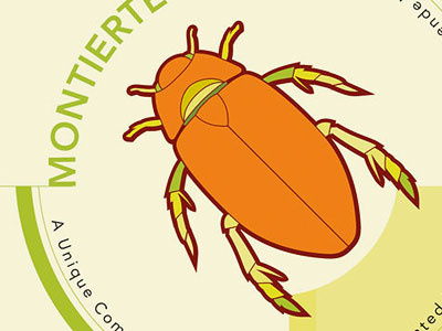 Beetle beetle bug illustration vector