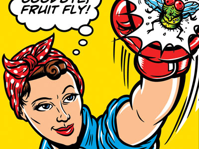 Flypunch! action boxing comic fly illustration primary colors punch rosie thought bubble