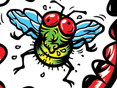 The Fly drunk fly gross insect punch sloppy